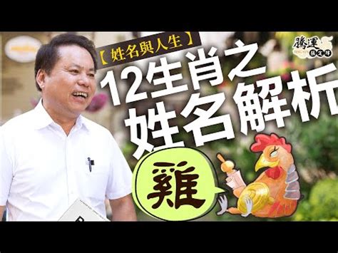 屬雞 姓名|生肖屬雞的特性解說及喜、忌用字